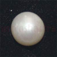 South Sea Pearl 5.1 ratti